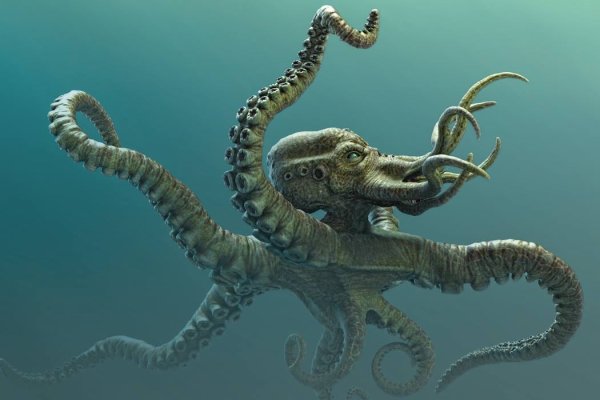 Kraken 2krn