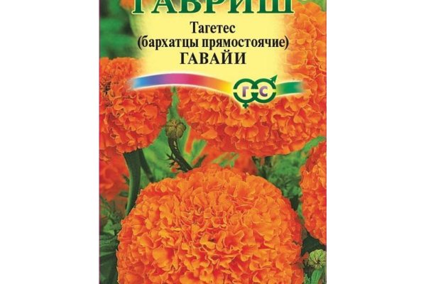 Кракен даркнет лол