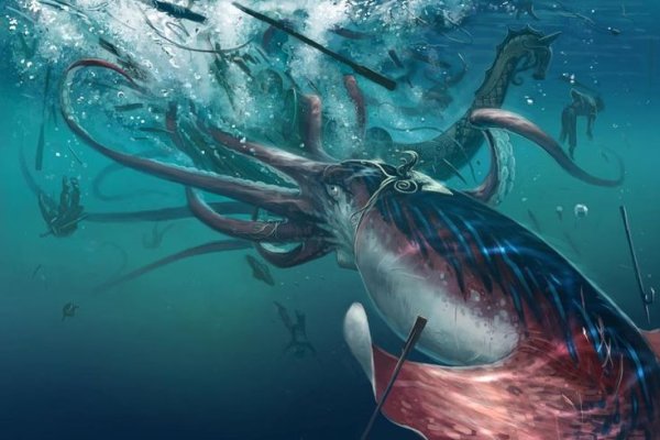 Kraken 20at net