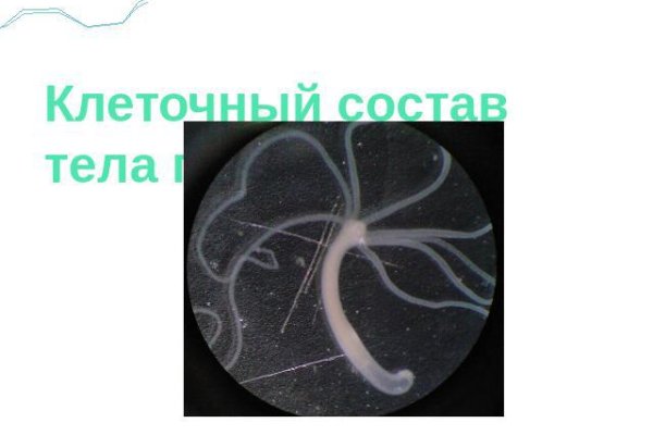 Кракен ссылка список