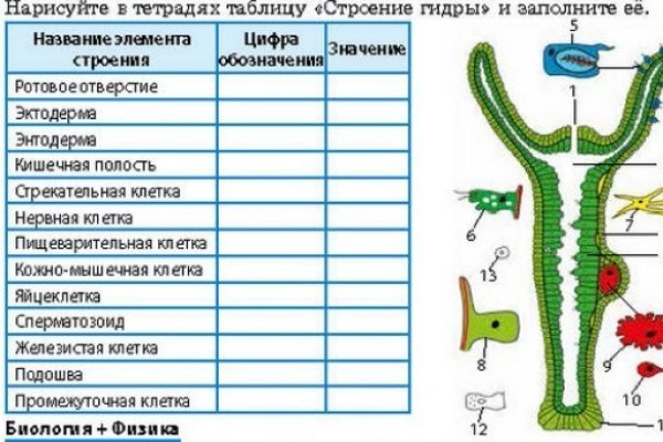 Кракен актуальное зеркало