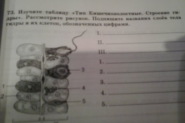 Как зайти в кракен торе