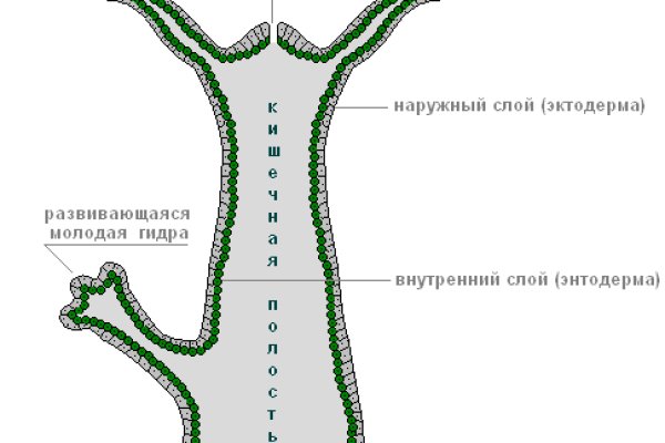 Кракен соль