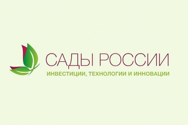 Kraken onion вход