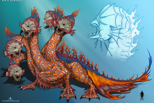 Kraken рынок